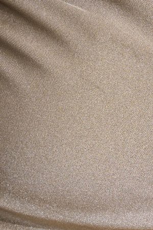 Shiny O-Ring Bikini Bottom