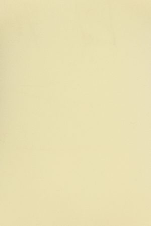 Sleek Sweetheart T Shirt