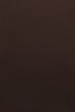 Polo Deep Plunge Bodysuit