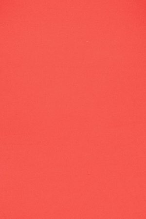 Sleek Y-Neck Cami Top